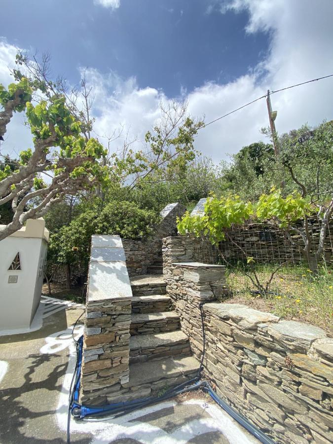 Andros Vineyard House With Sea View Leilighet Sineti Eksteriør bilde