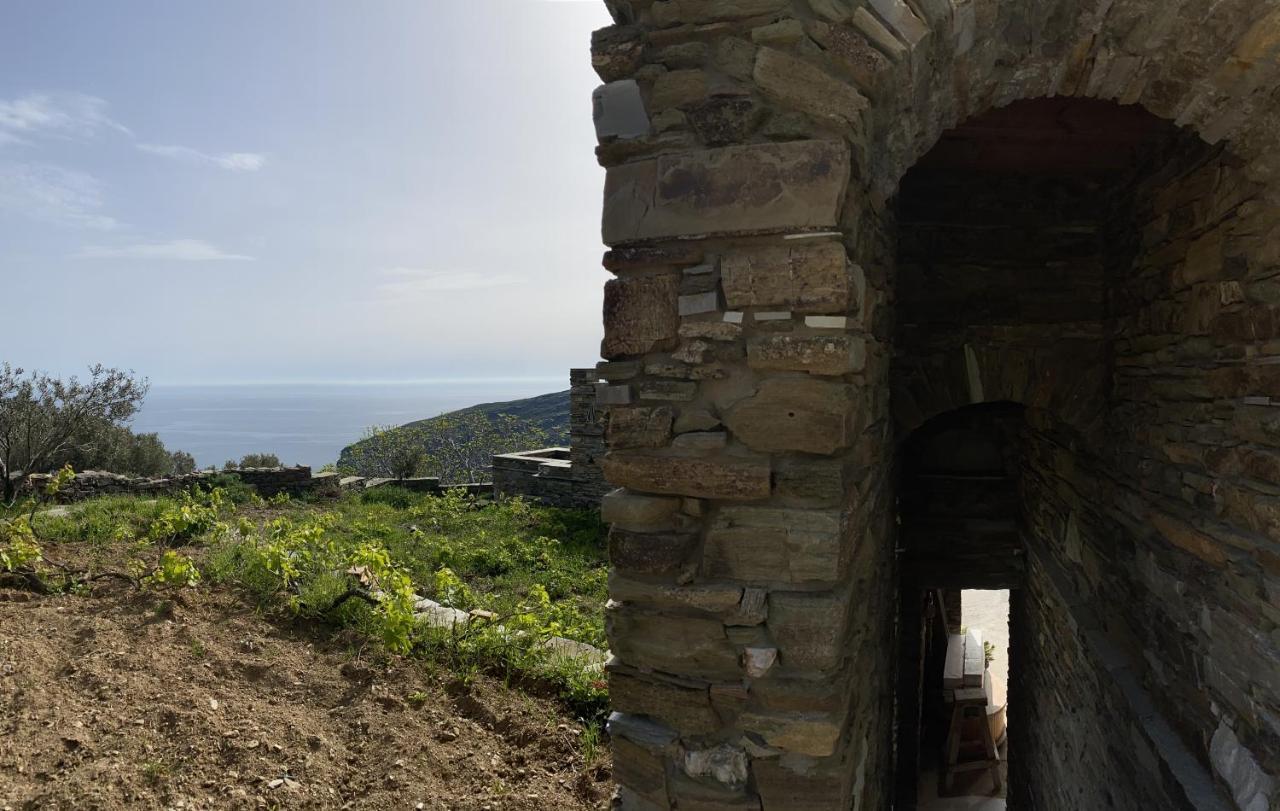 Andros Vineyard House With Sea View Leilighet Sineti Eksteriør bilde